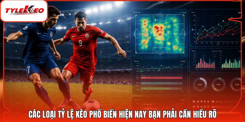 Các Loại Tỷ Lệ Kèo Phổ Biến Hiện Nay Bạn Phải Cần Hiểu Rõ