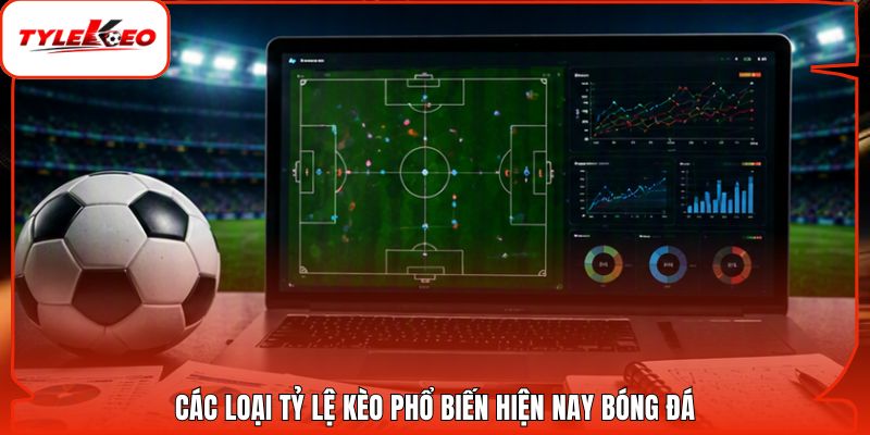 Các loại tỷ lệ kèo phổ biến hiện nay bóng đá