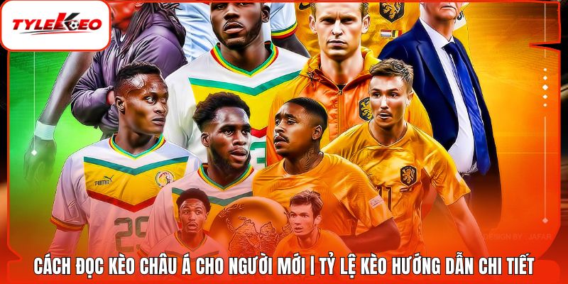 Cách Đọc Kèo Châu Á Cho Người Mới | Tỷ Lệ Kèo Hướng Dẫn Chi Tiết
