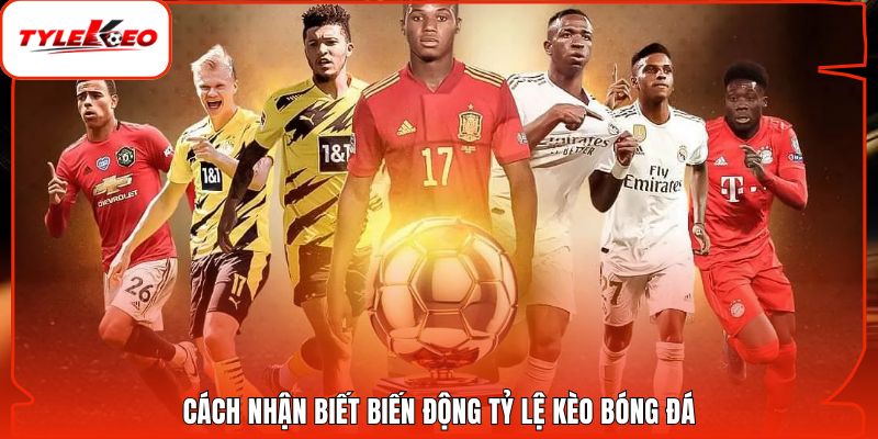 Cách nhận biết biến động tỷ lệ kèo bóng đá