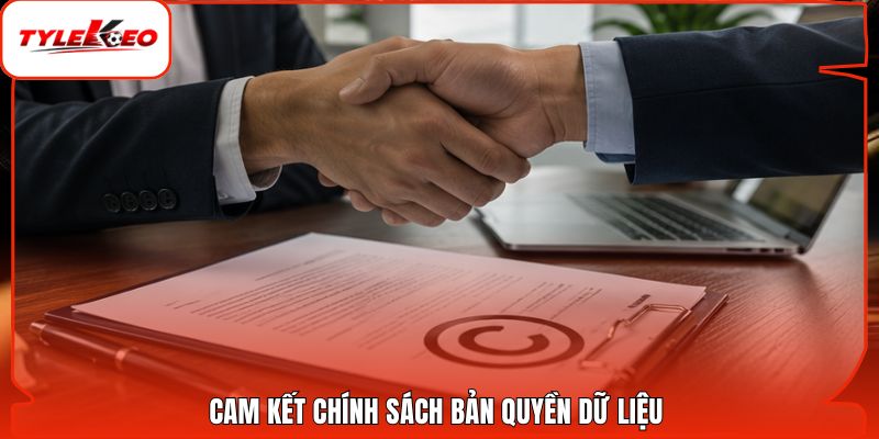 Cam kết chính sách bản quyền dữ liệu