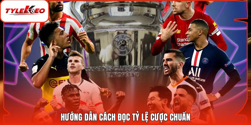 Hướng dẫn cách đọc tỷ lệ cược chuẩn