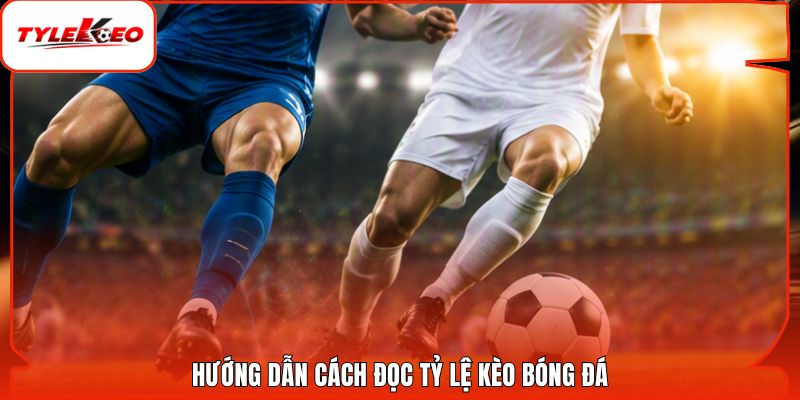 Hướng dẫn cách đọc tỷ lệ kèo bóng đá