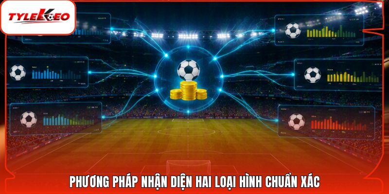Phương pháp nhận diện hai loại hình chuẩn xác