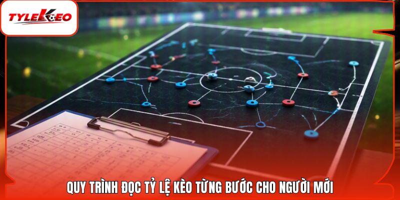 Quy trình đọc tỷ lệ kèo từng bước cho người mới